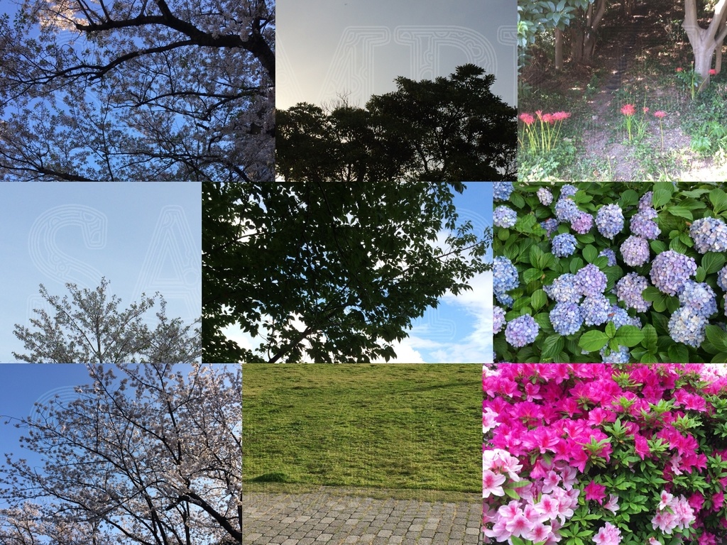 写真素材002_風景の詰め合わせ