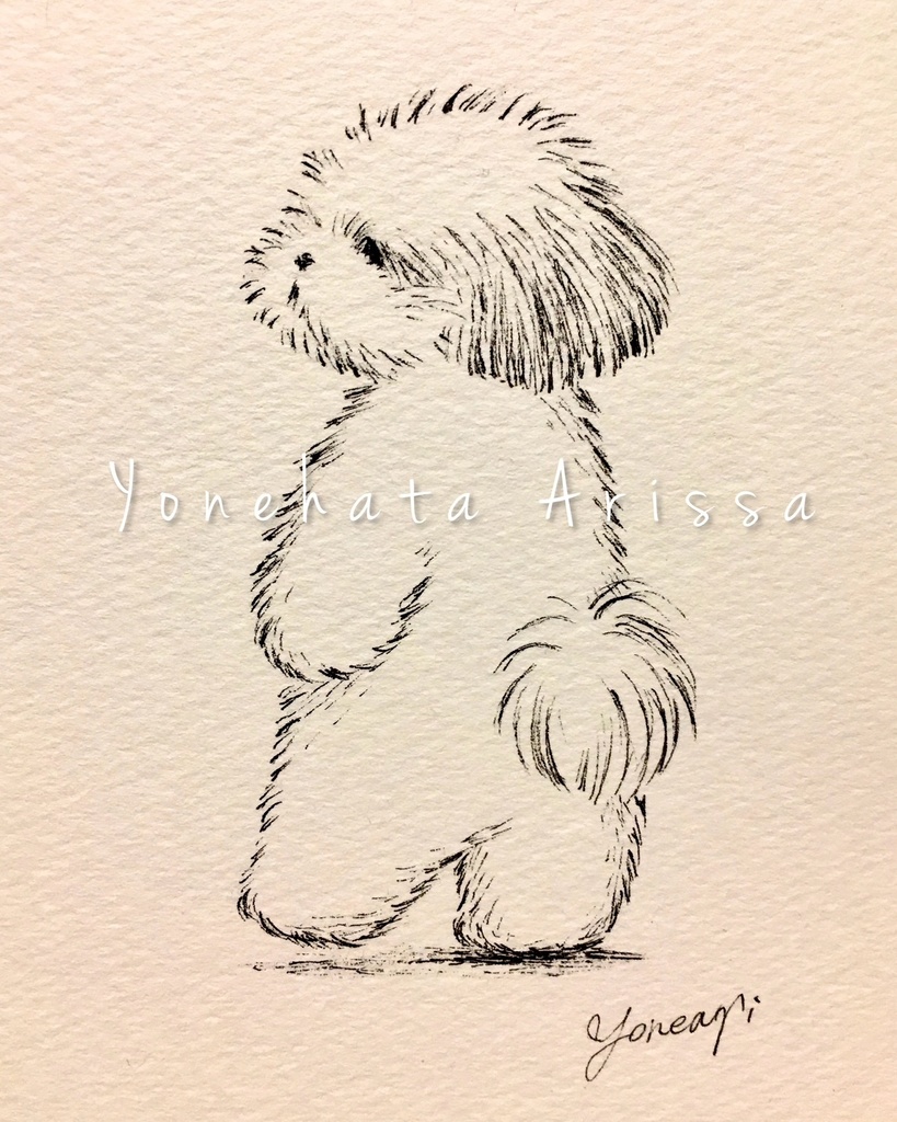 原画作品「ペン画のシーズー」