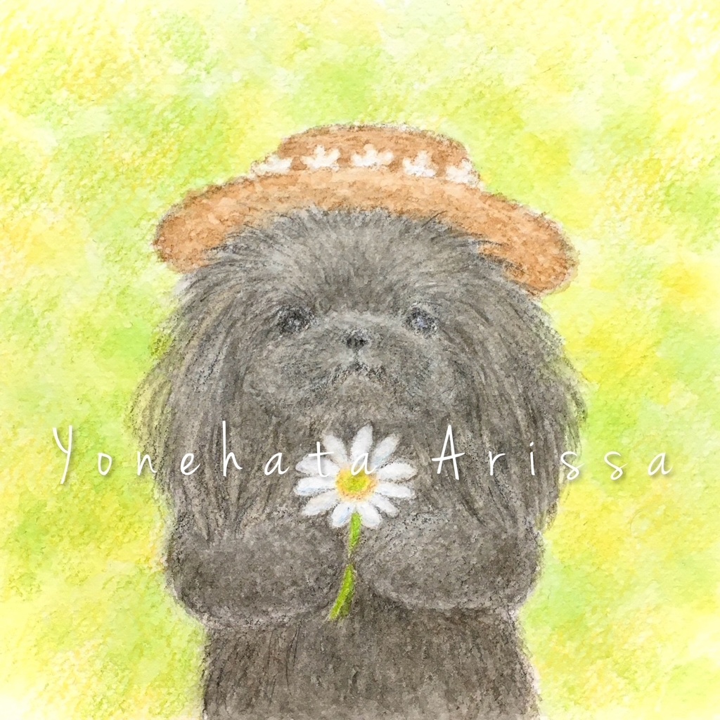 原画作品「白いお花と黒ペキニーズ」