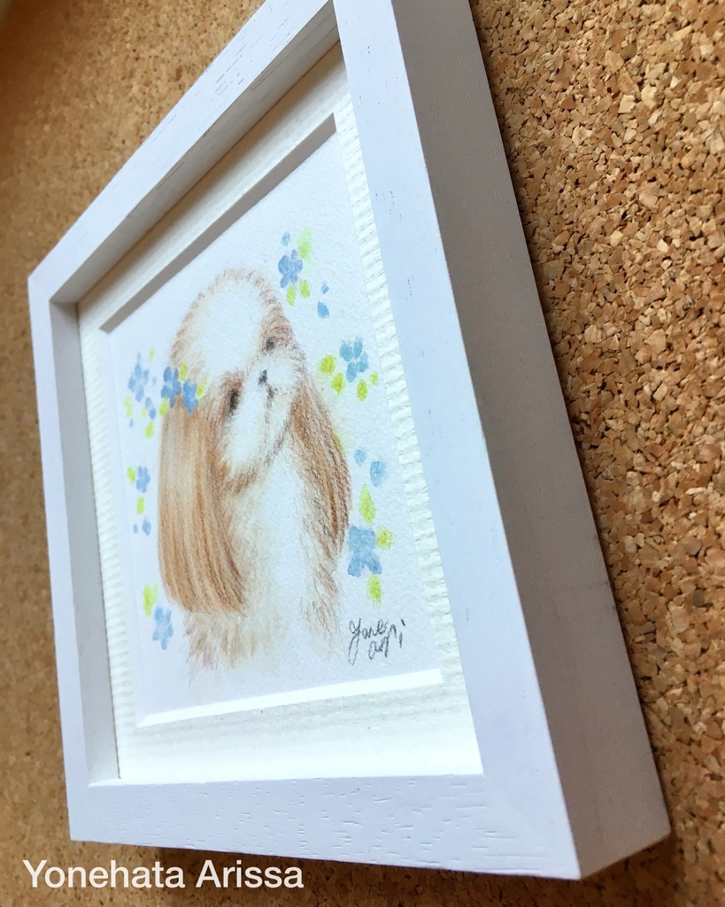 原画作品「青いお花とロングヘアシーズー」