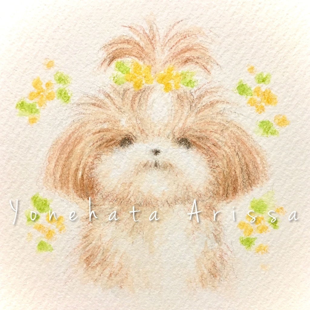 原画作品「黄色のお花とちょんまげシーズー」