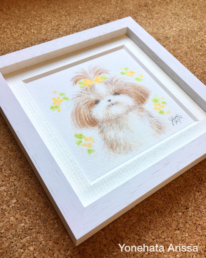 原画作品「黄色のお花とちょんまげシーズー」