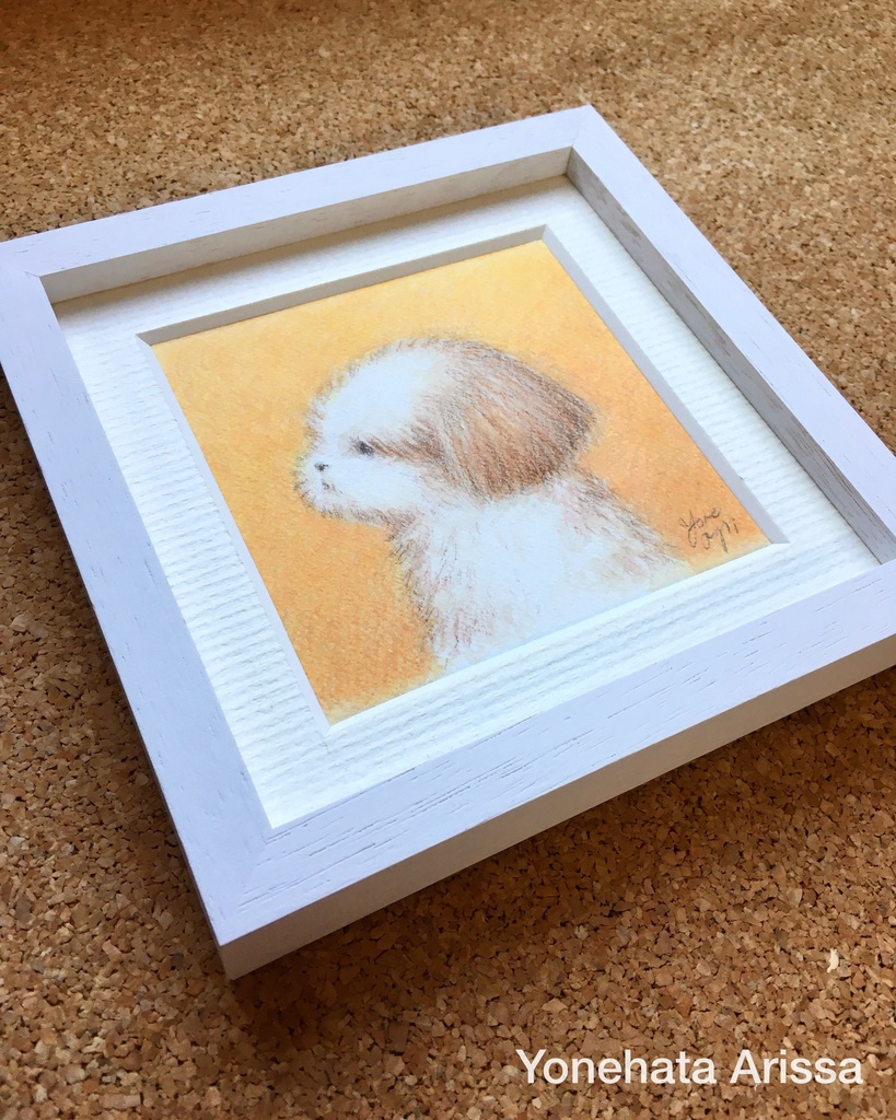 原画作品「横顔のシーズー」