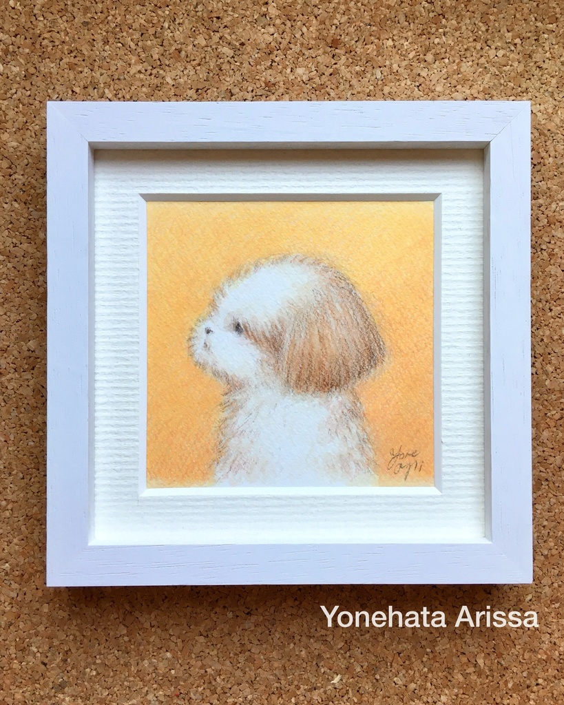 原画作品「横顔のシーズー」