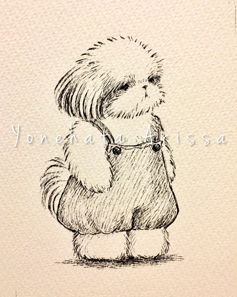 原画作品「かぼちゃパンツのサロペットシーズー」