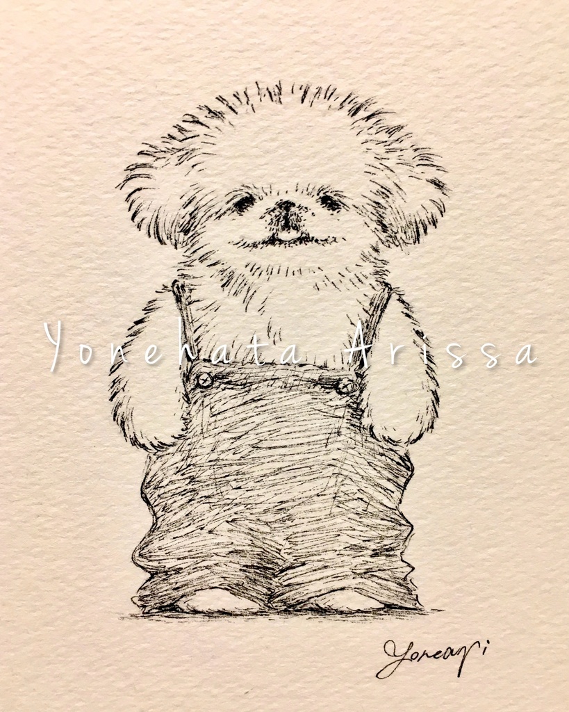 原画作品「サロペットを着たペキニーズ」