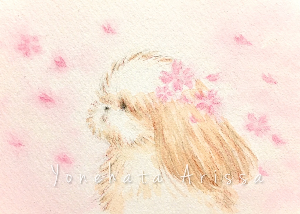 原画作品「桜の花びらとシーズー」