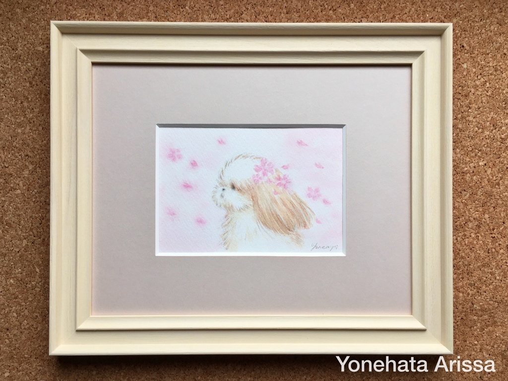 原画作品「桜の花びらとシーズー」