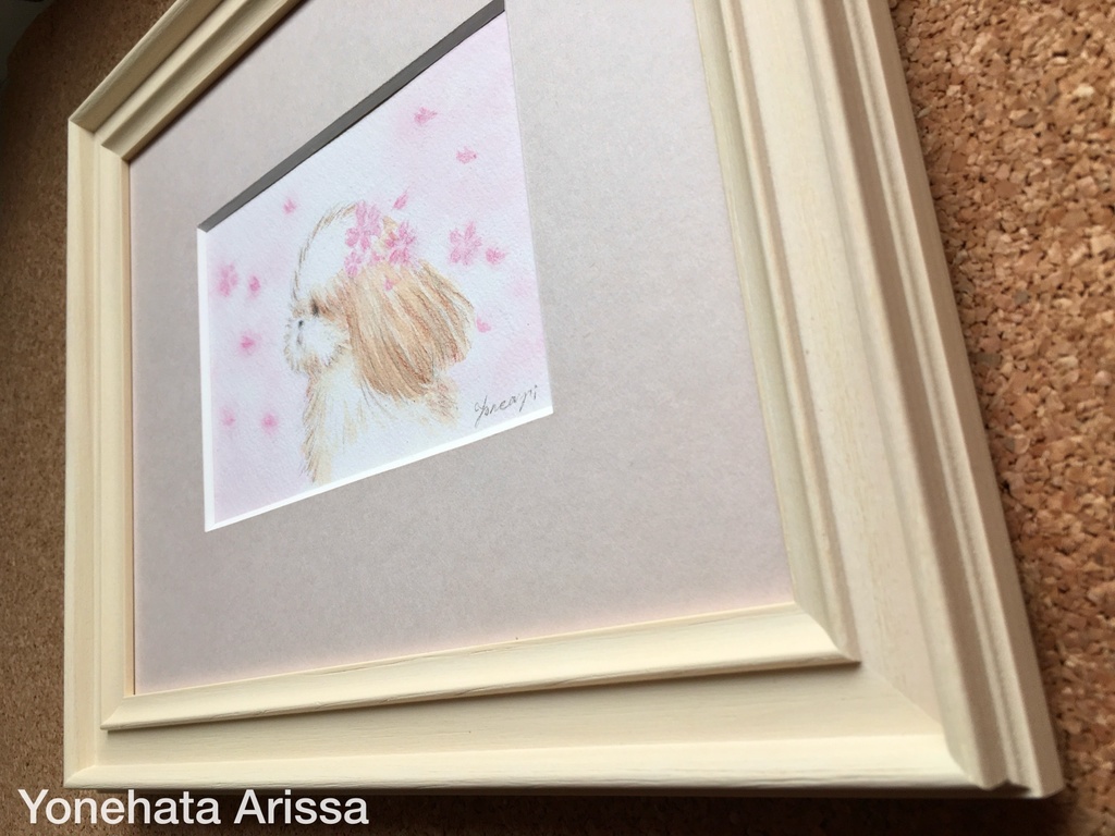 原画作品「桜の花びらとシーズー」