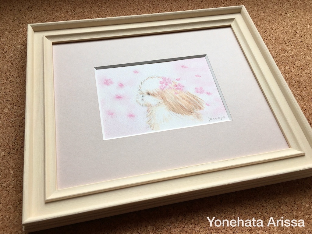 原画作品「桜の花びらとシーズー」