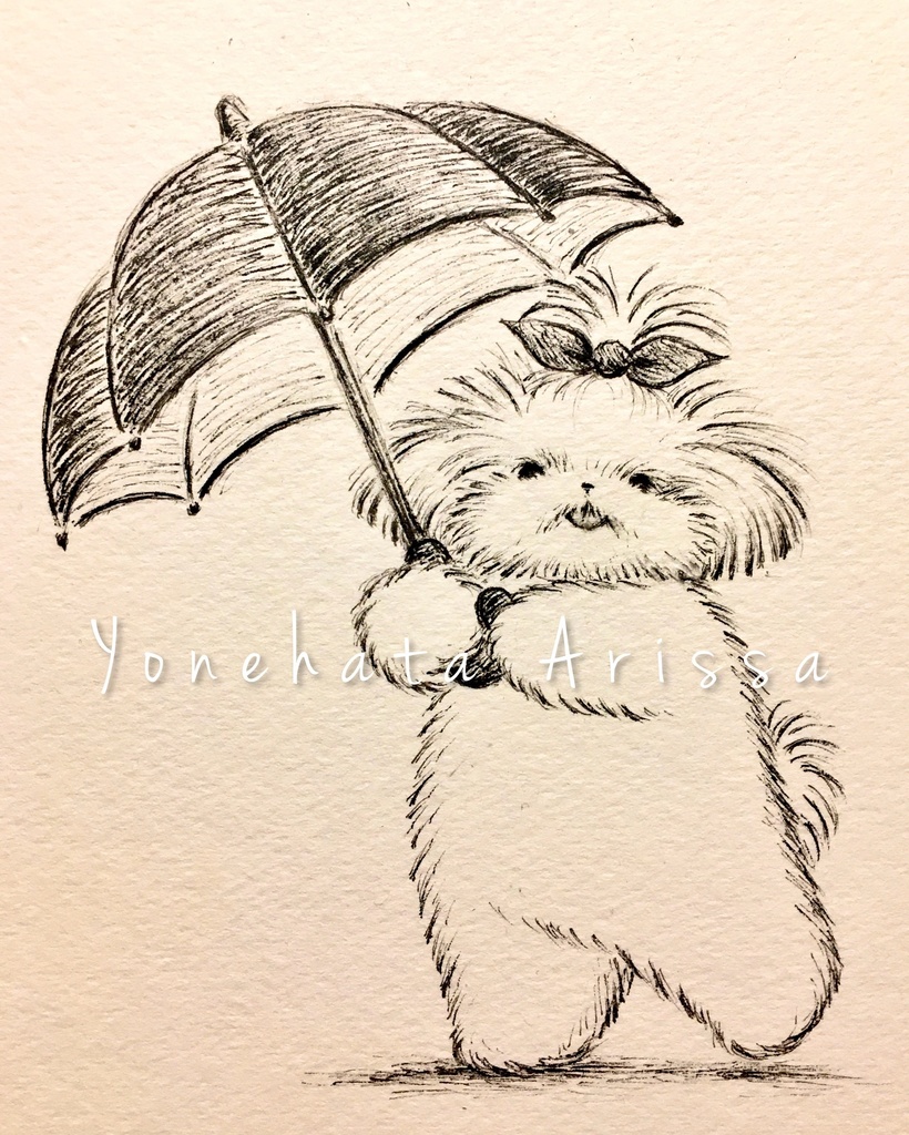 原画作品「シーズーと傘」