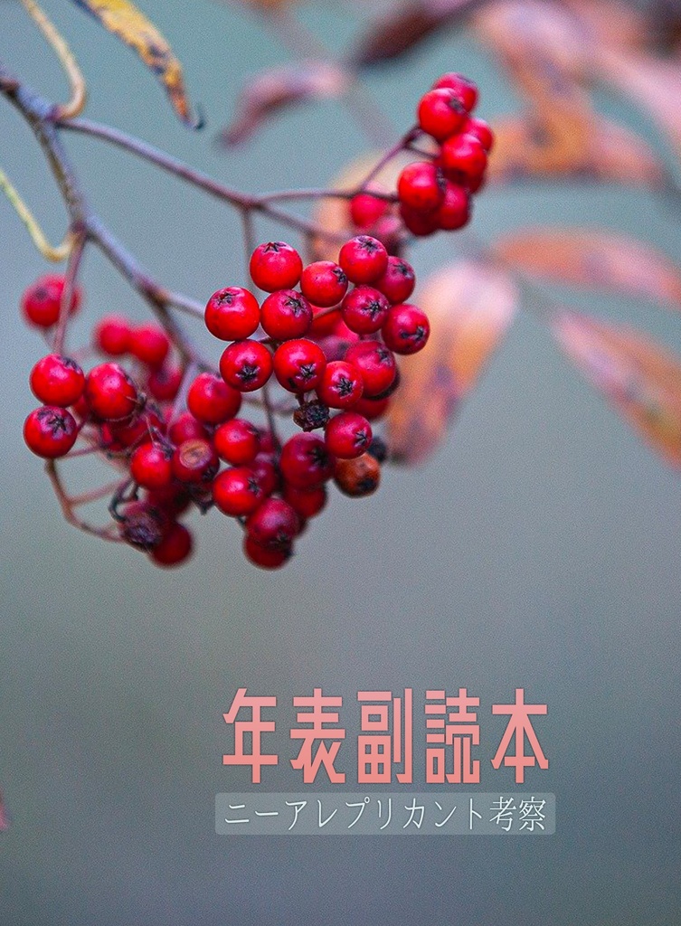 年表副読本：ニーアプリカント考察