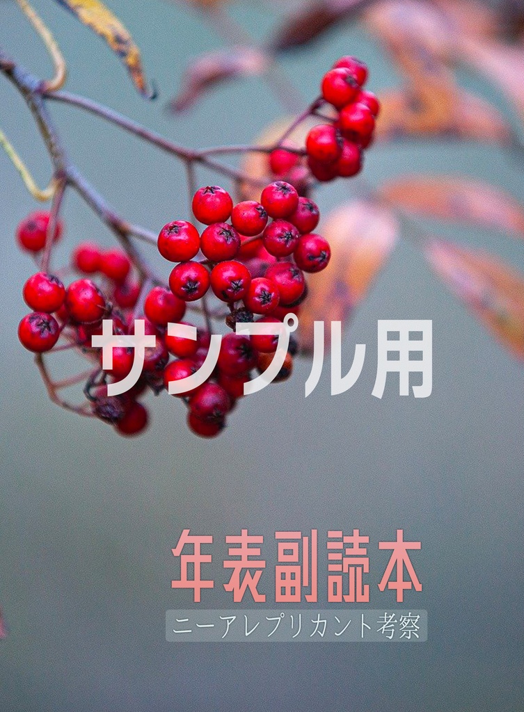 【サンプルPDF】年表副読本：ニーアレプリカント考察