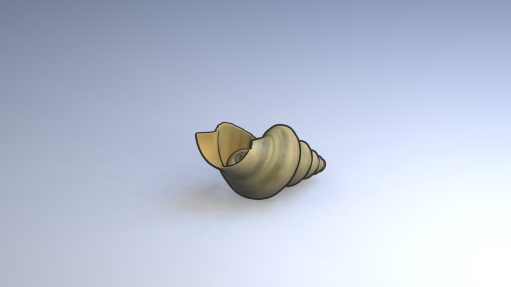 海鮮3Dモデル 5点バラ (カニ/魚/タコ/貝/イカ)