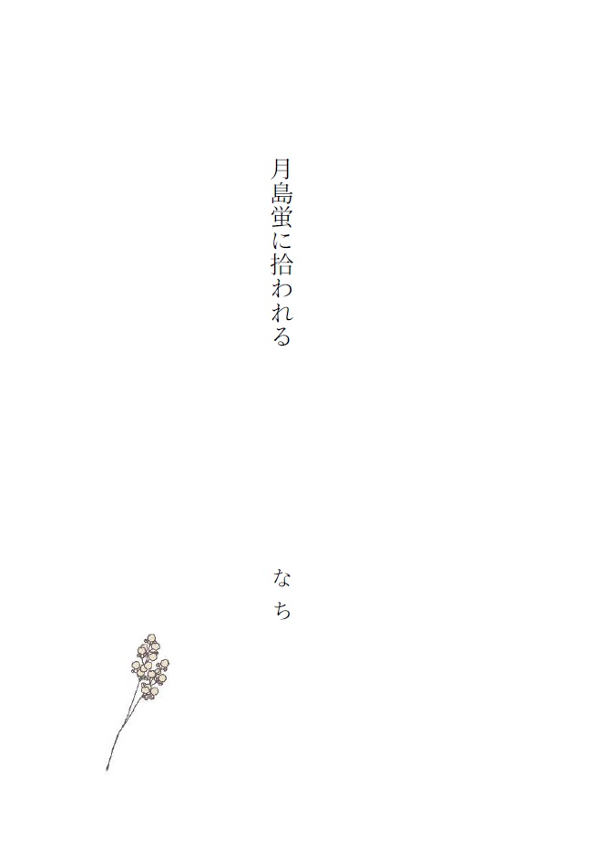 拾ったのは、恋でした