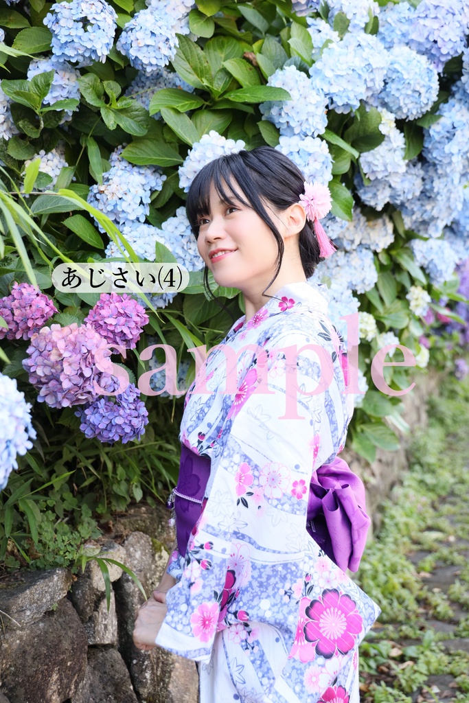 A4ラミネート写真・あじさいシリーズ