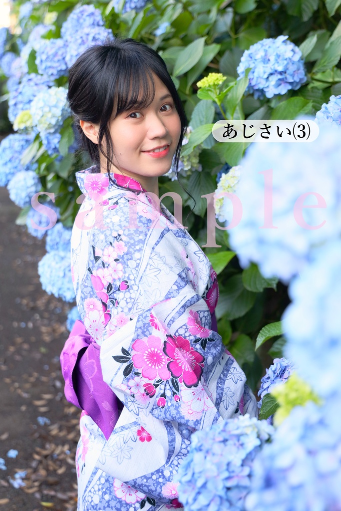 A4ラミネート写真・あじさいシリーズ