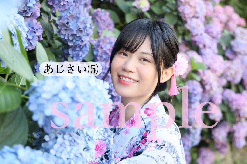 A4ラミネート写真・あじさいシリーズ