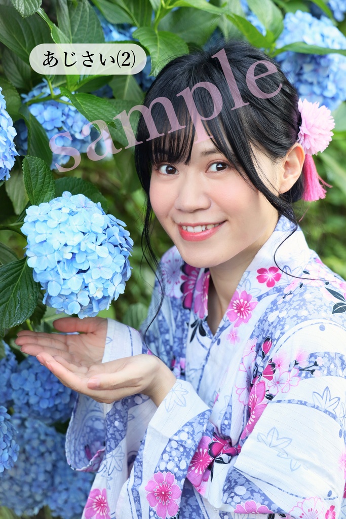 A4ラミネート写真・あじさいシリーズ