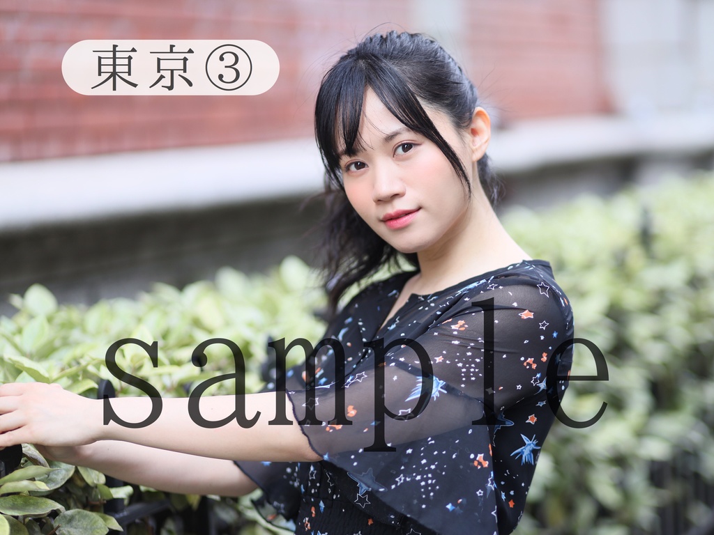 A4ラミネート写真・東京シリーズ