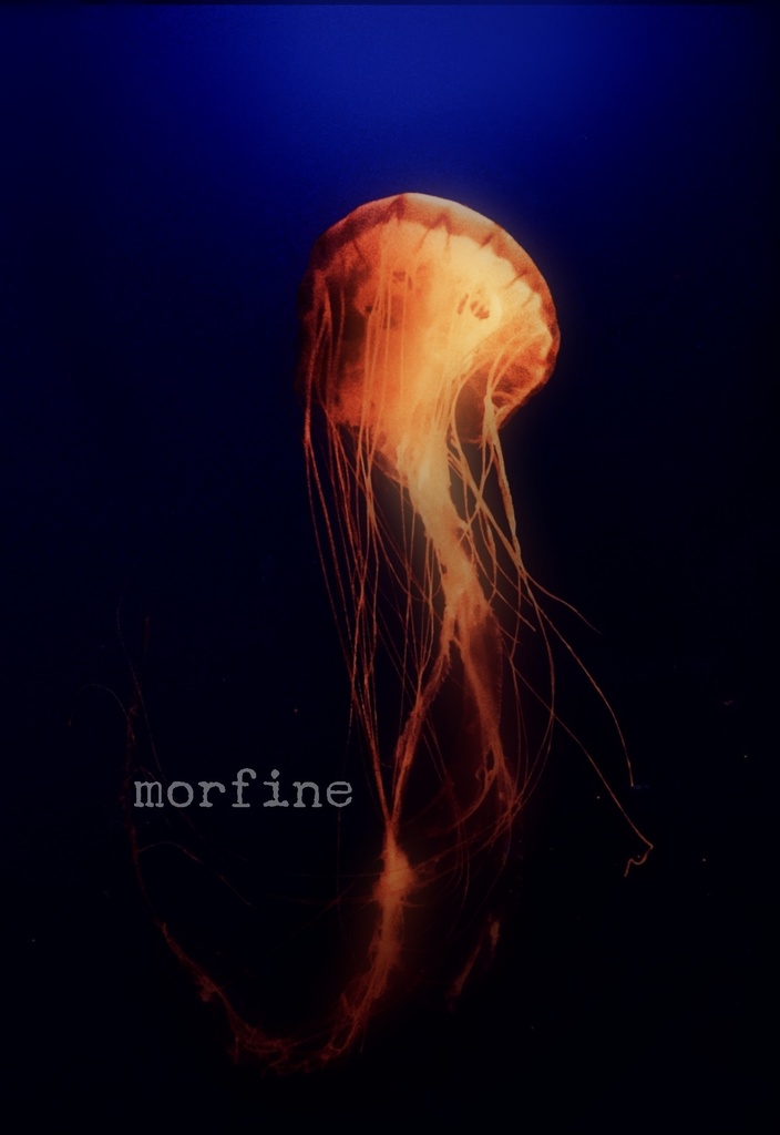 morfine