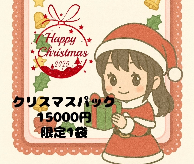 クリスマスパック2025(15000)