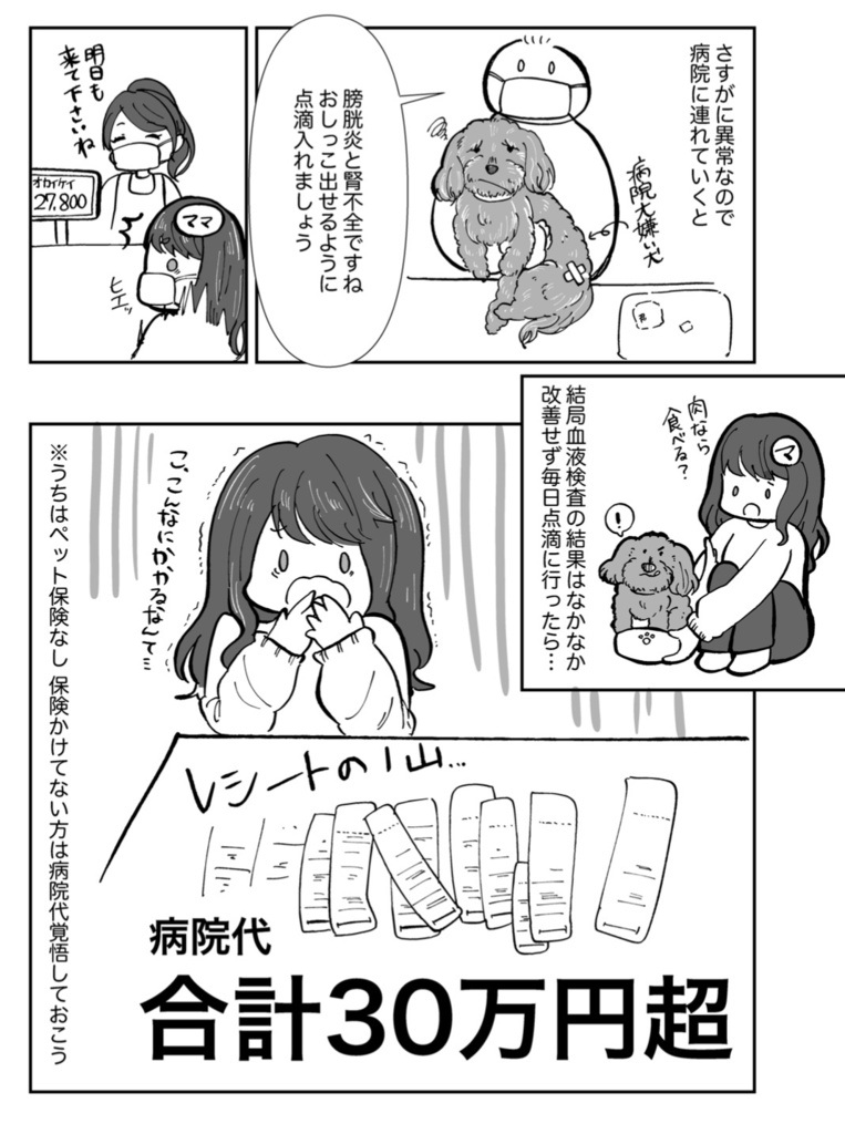 新刊!「初めての老犬介護日記」