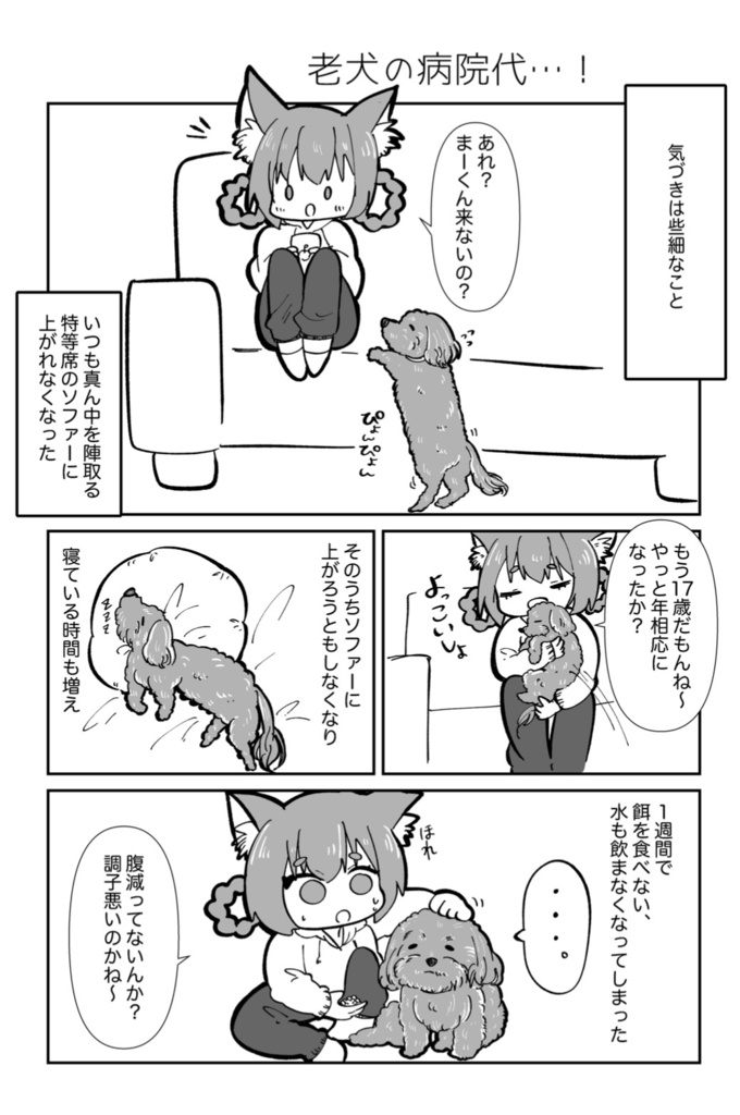 新刊!「初めての老犬介護日記」