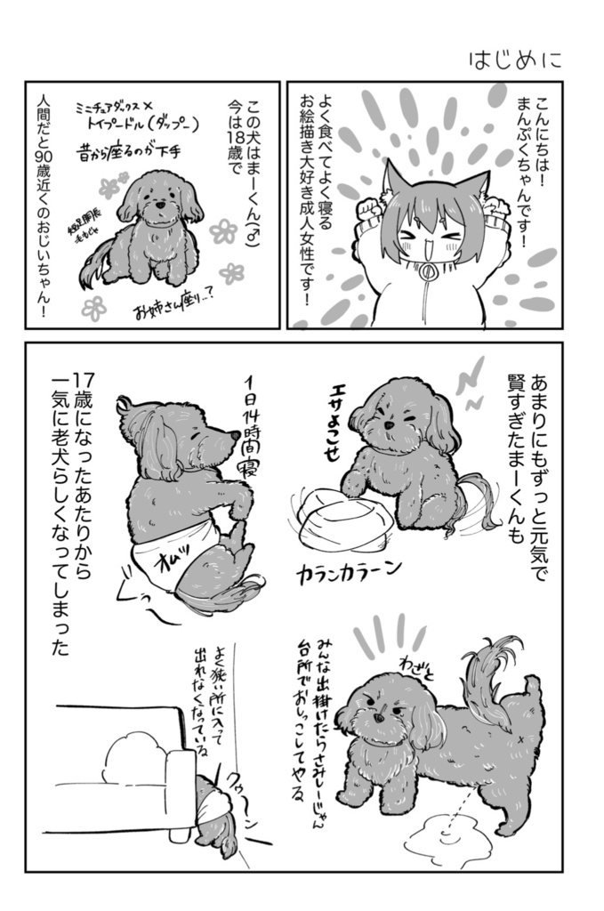 新刊!「初めての老犬介護日記」