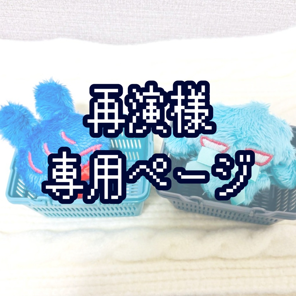 再演様　専用ページ　スパイバニーセット