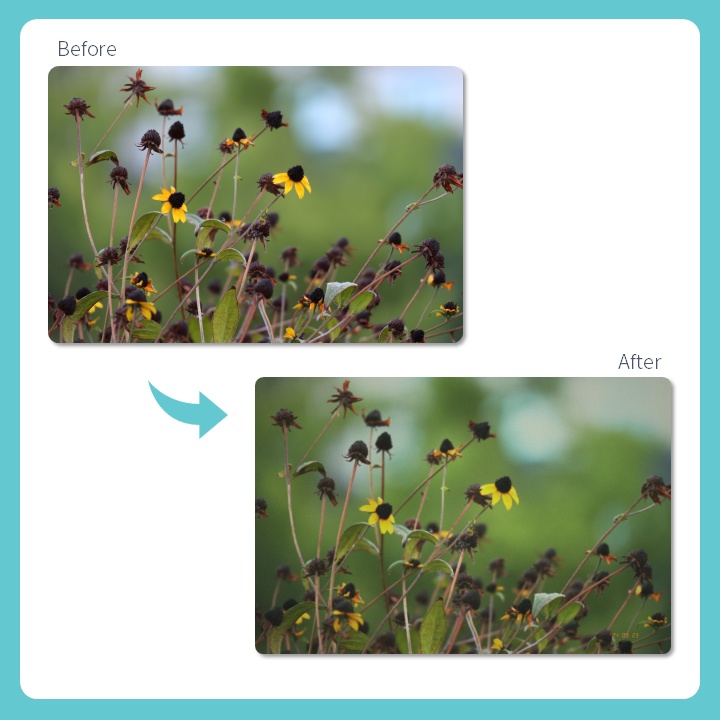 フィルム写真風レタッチソフト「Filminiscence」