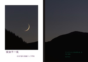 夜伽千一夜 (月鯉などWEB再録本)