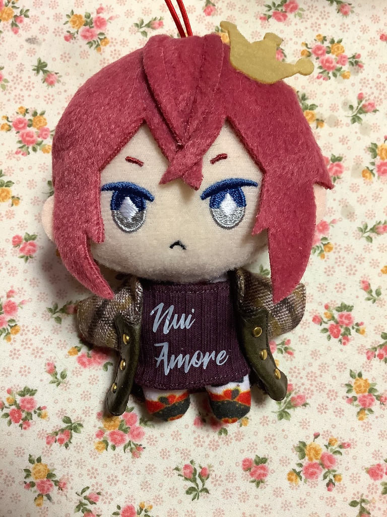 10cmぬい ナポレオンコート+Tシャツセット