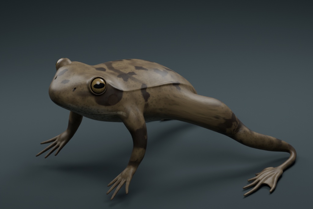 Rana temporaria - Rigged 3D Animal