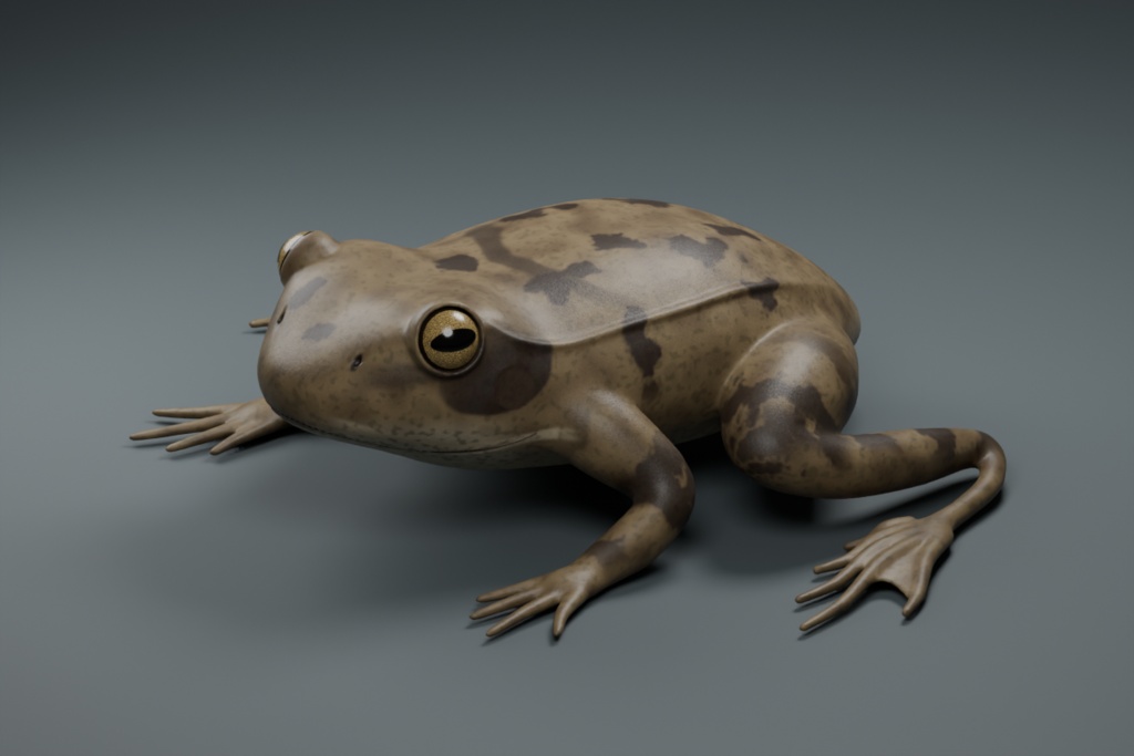 Rana temporaria - Rigged 3D Animal