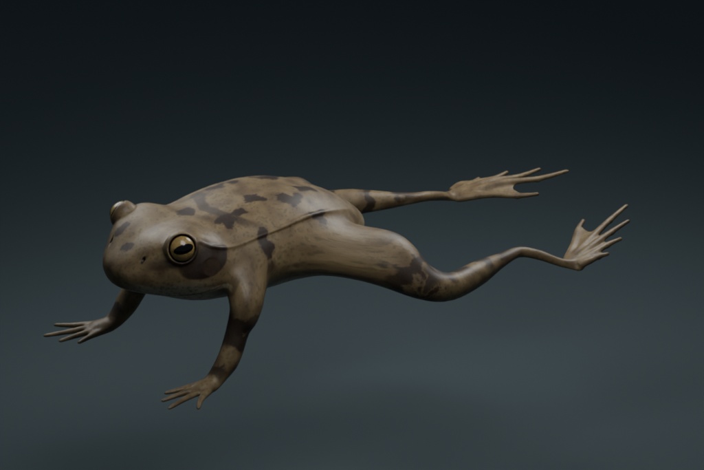 Rana temporaria - Rigged 3D Animal