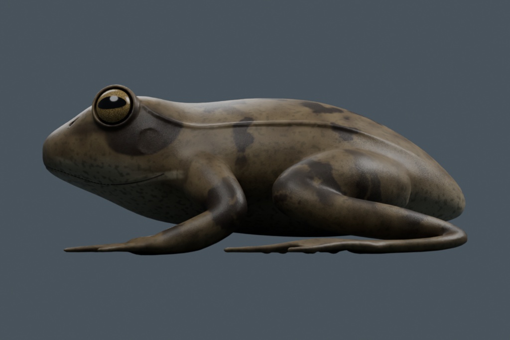 Rana temporaria - Rigged 3D Animal