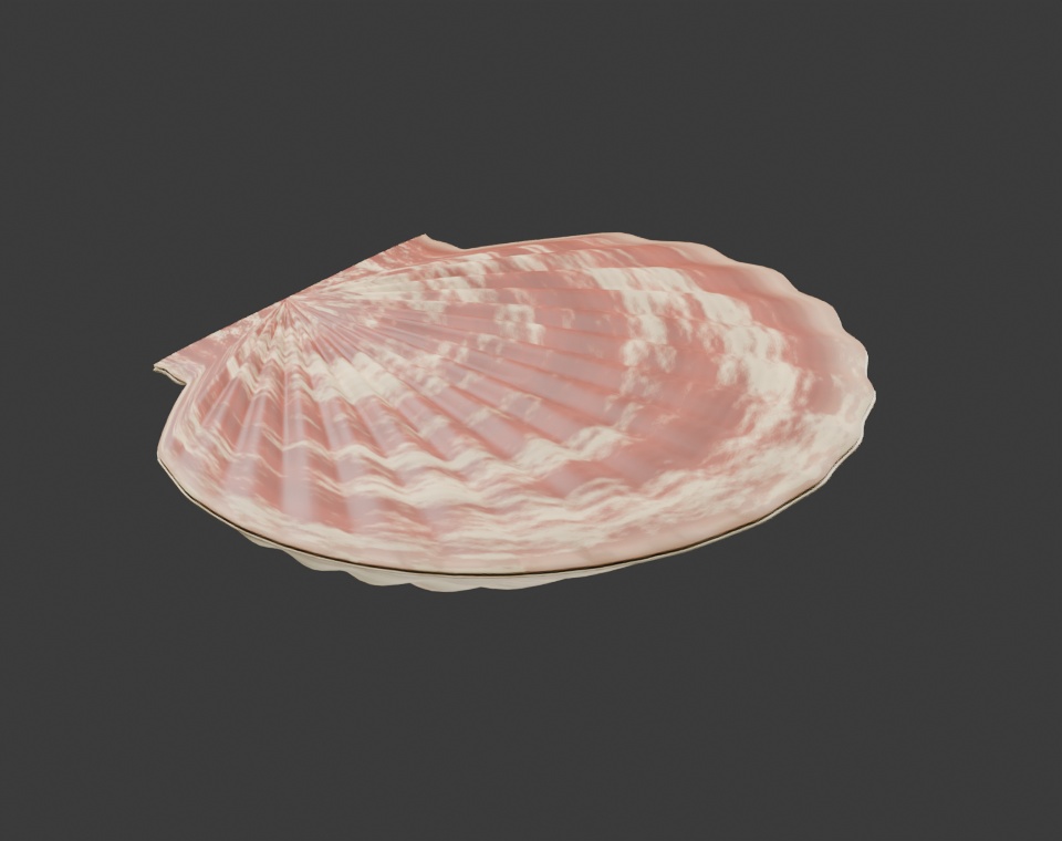 Pecten maximus - Rigged 3D Animal