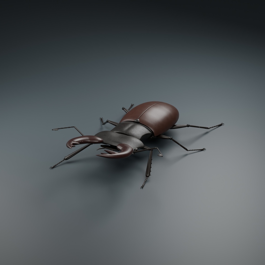 Lucanus cervus - Male - Rigged 3D Animal