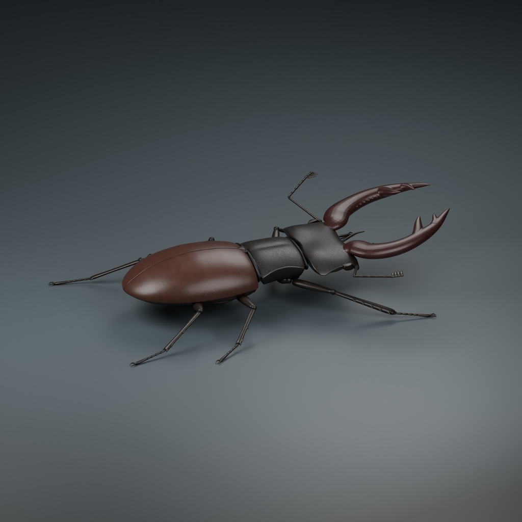 Lucanus cervus - Male - Rigged 3D Animal