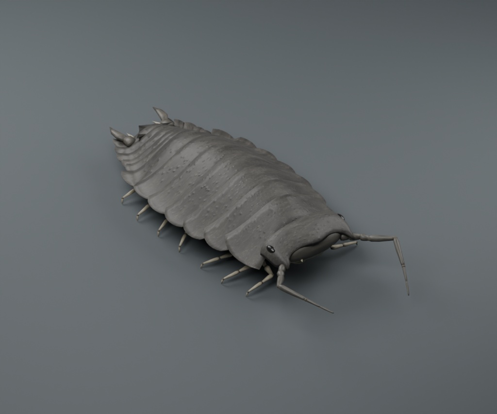 Porcellio scaber - Rigged 3D Animal