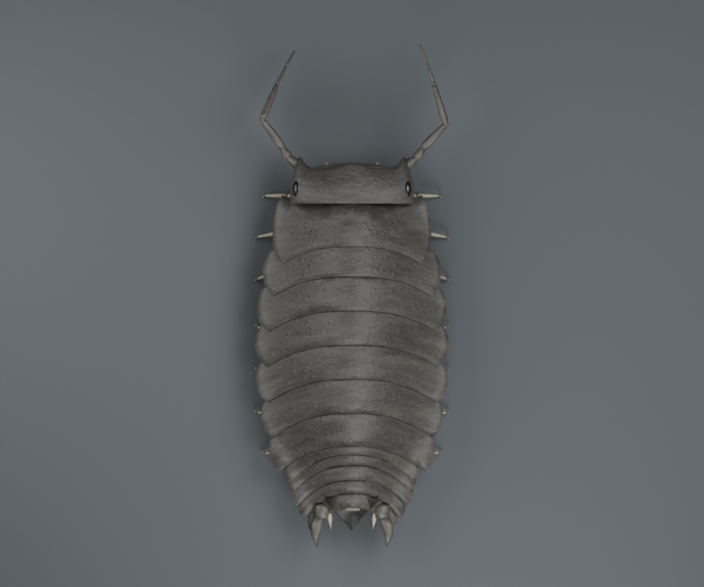 Porcellio scaber - Rigged 3D Animal