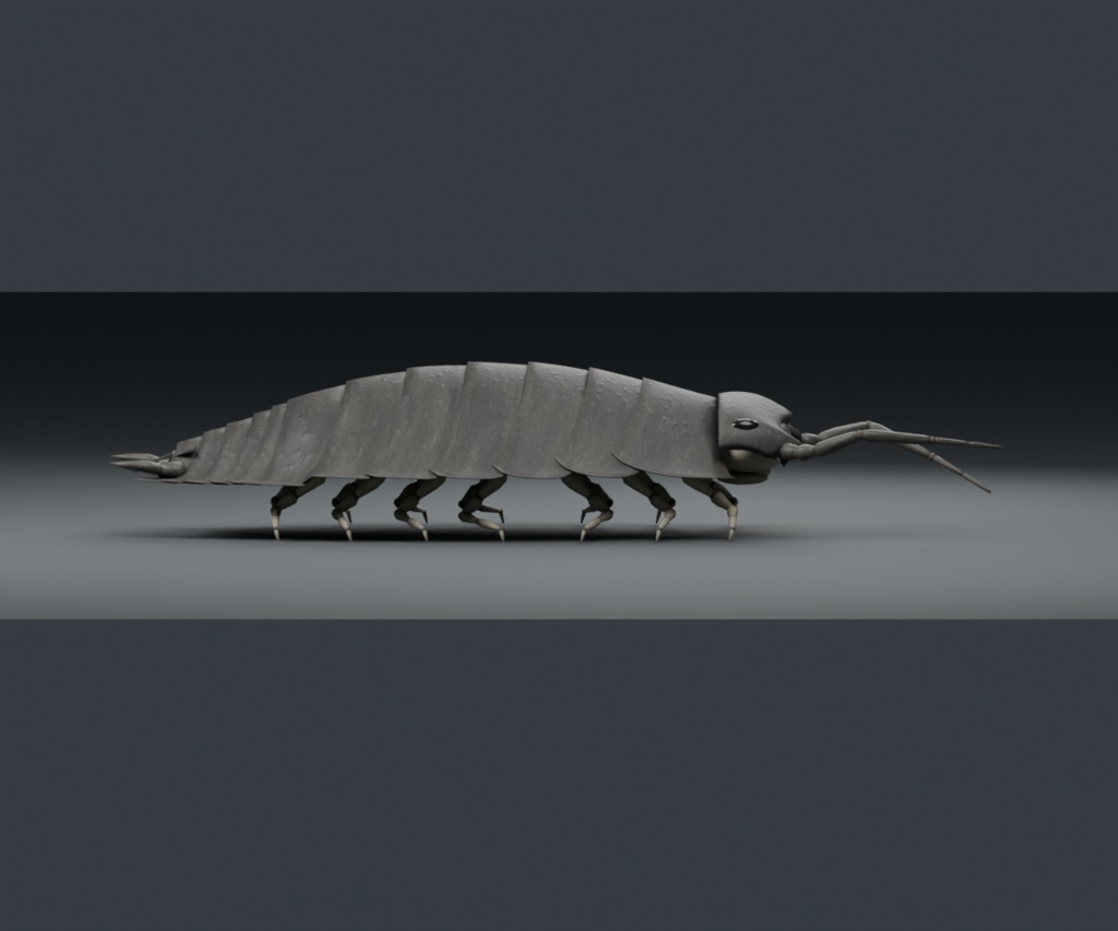 Porcellio scaber - Rigged 3D Animal