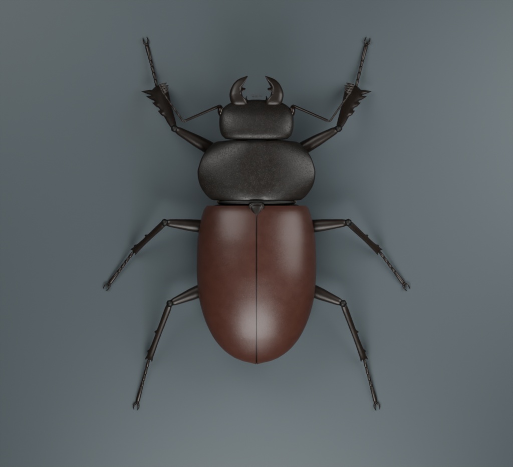 Lucanus cervus - Female - Rigged 3D Animal