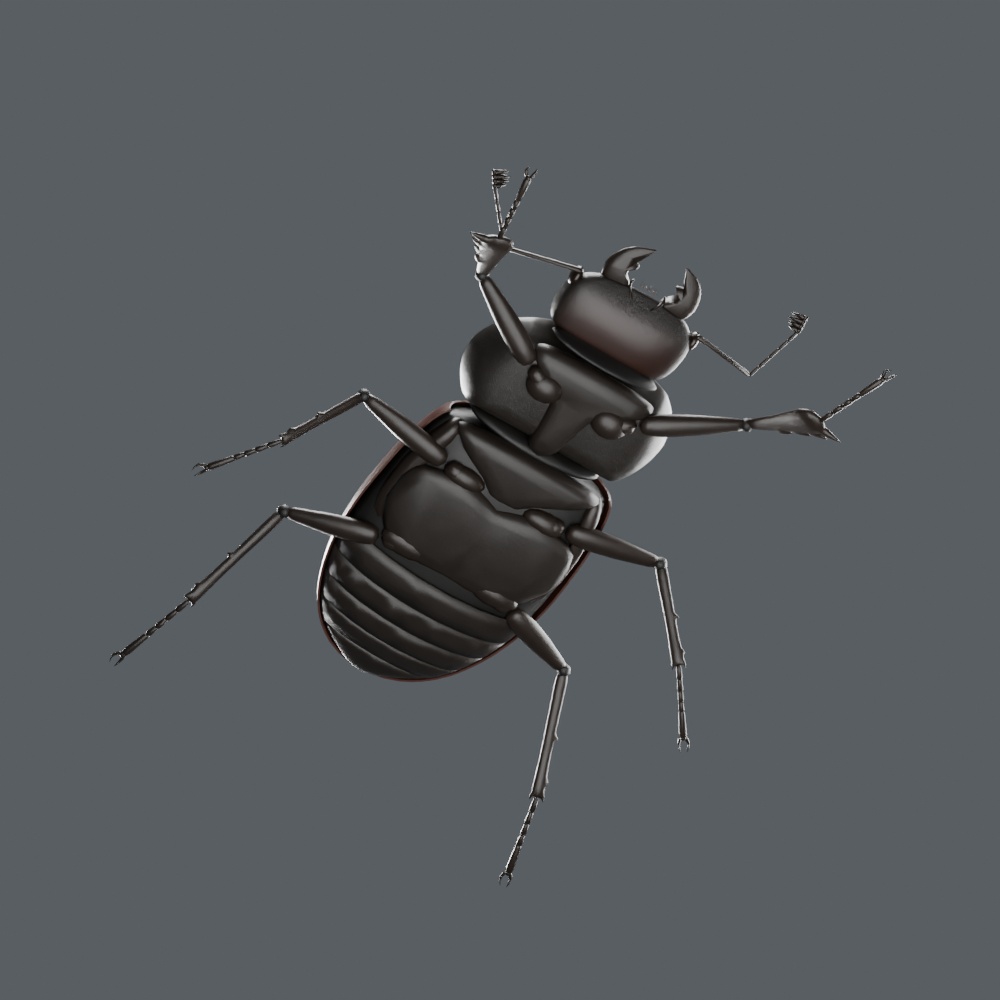 Lucanus cervus - Female - Rigged 3D Animal