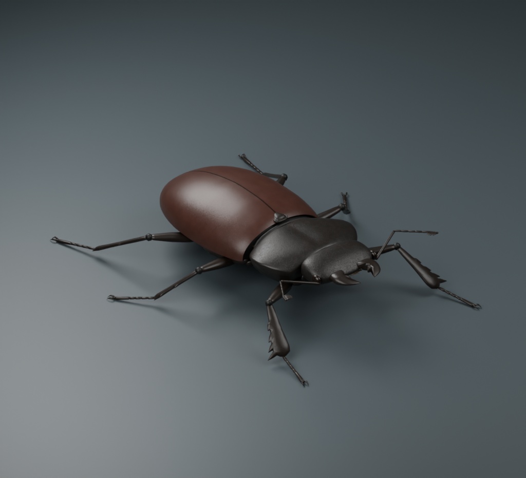 Lucanus cervus - Female - Rigged 3D Animal