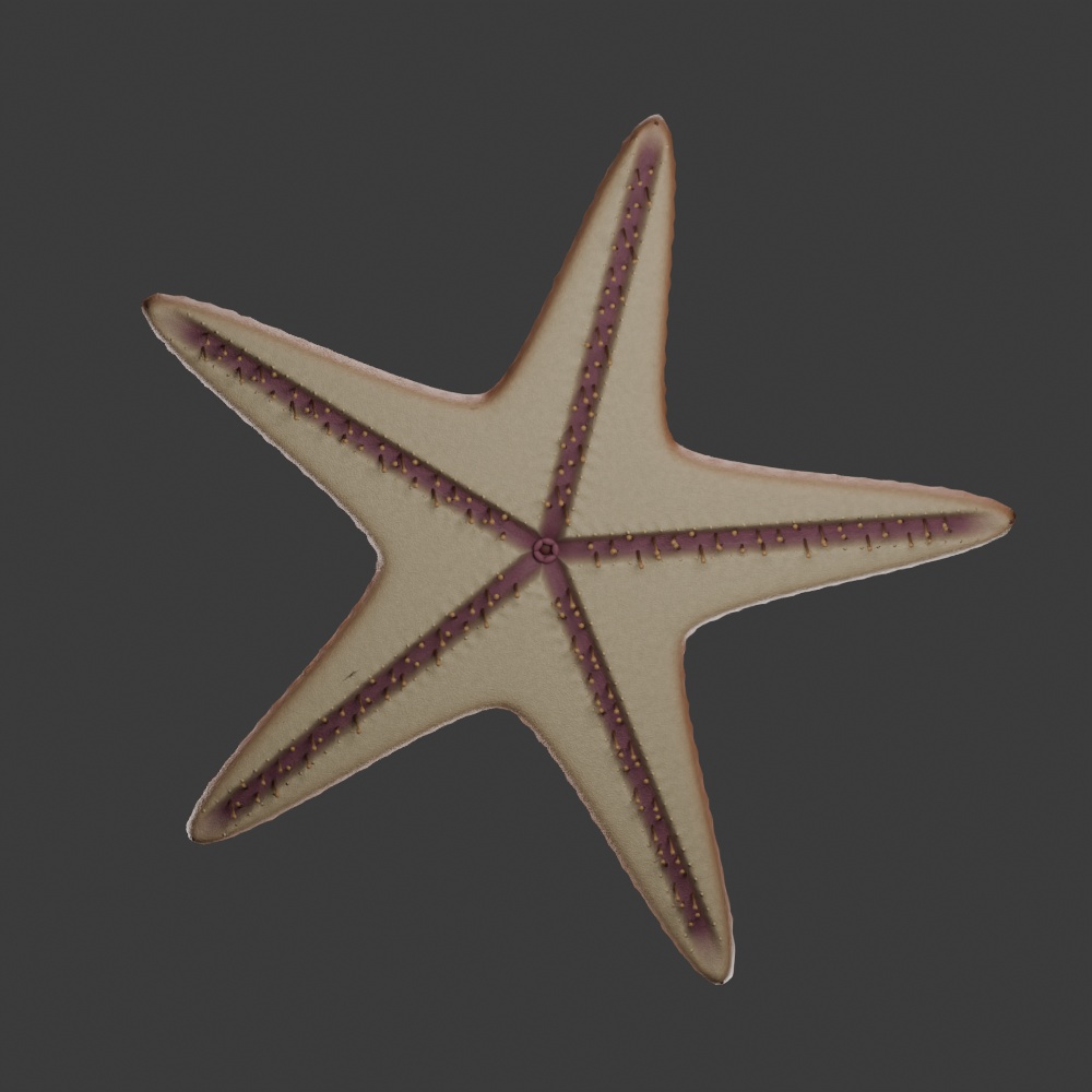 Protoreaster nodosus - Rigged 3D Animal