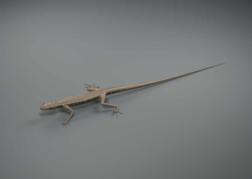 Podarcis muralis - Rigged 3D Animal