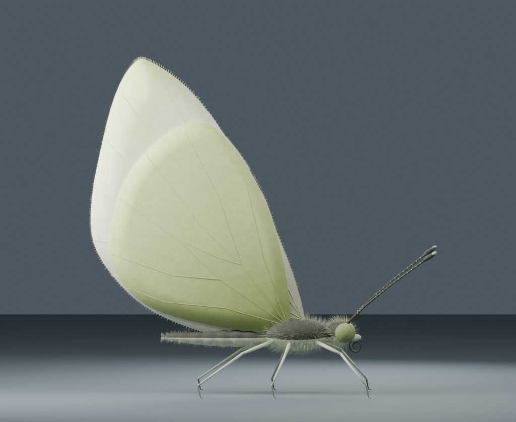 Pieris brassicae - Female - Rigged 3D Animal