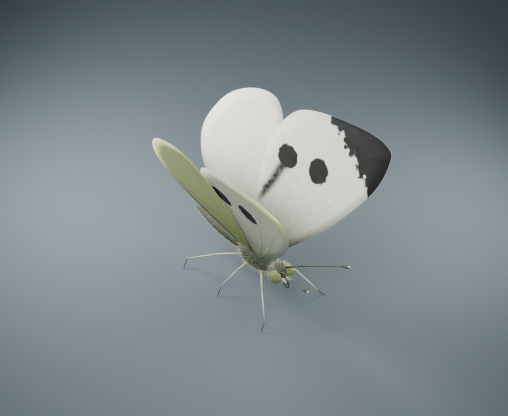 Pieris brassicae - Female - Rigged 3D Animal